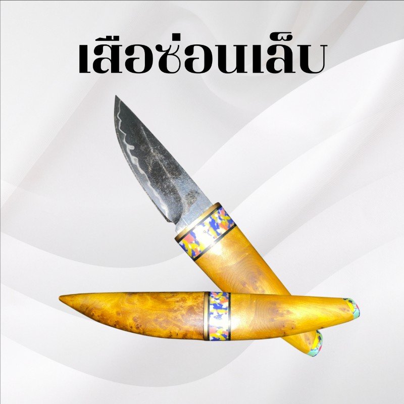 เสือซ่อนเล็บ