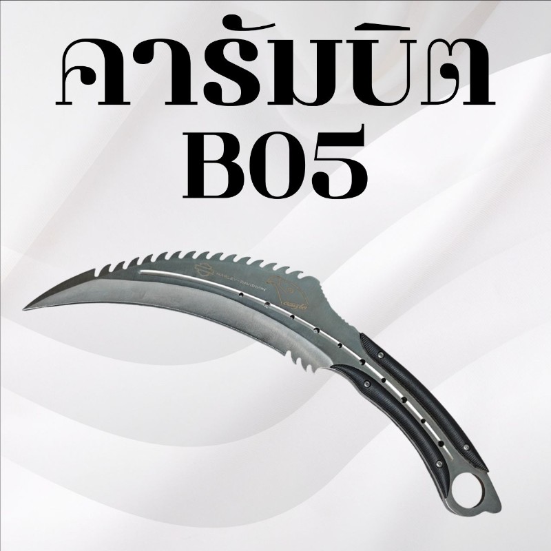 คารัมบิต รหัส  B05