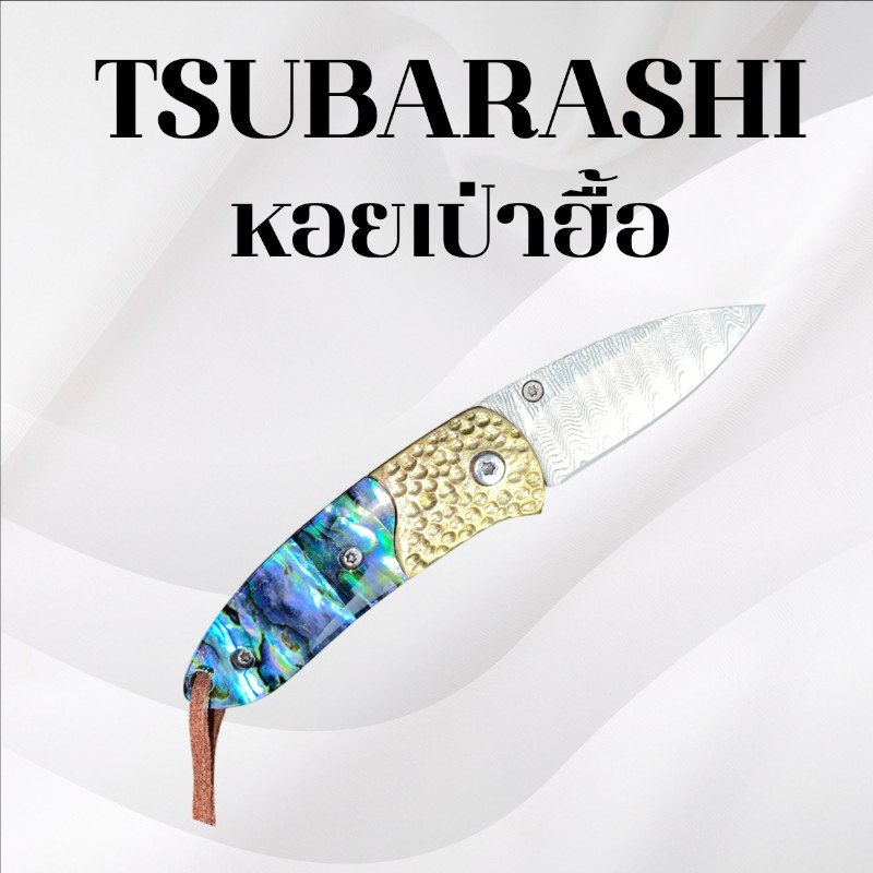 มีดพับซึบาราชิ รหัส หอยเป่าฮื้อ